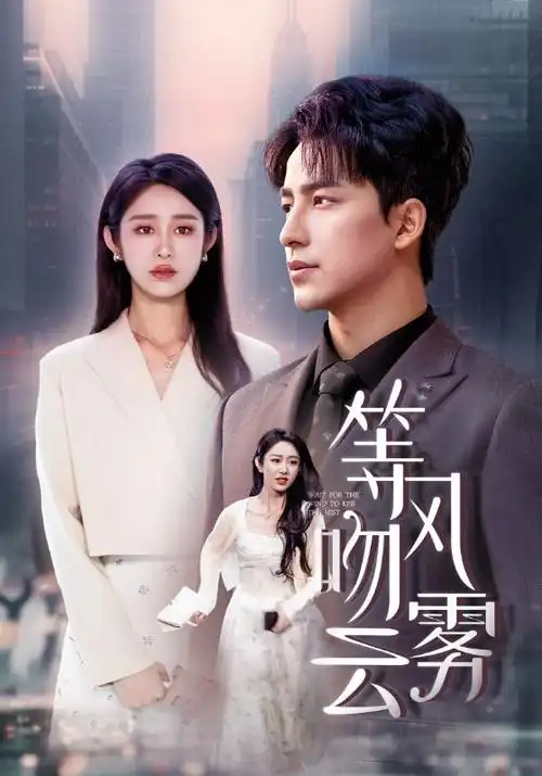 无声证人 欧美高清北欧剧海报